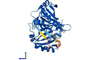 AlphaFold protein structure predicition of Human Recombinant GLOD4 Protein, UniprotID Q9HC38