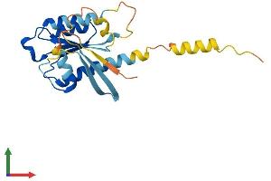 AlphaFold protein structure predicition of Human Recombinant RERGL Protein, UniprotID Q9H628