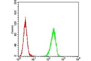 Flow cytometric analysis of Hela cells using ADORA2A mouse mAb (green) and negative control (red).