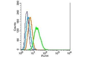 RSC96 cells probed with GFAP Polyclonal Antibody, Unconjugated  at 1:100 for 30 minutes followed by incubation with a conjugated secondary (PE Conjugated) (green) for 30 minutes compared to control cells (blue), secondary only (light blue) and isotype control (orange).