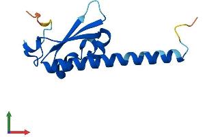 AlphaFold protein structure predicition of Human Recombinant DPPA5 Protein, UniprotID A6NC42