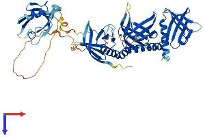 AlphaFold protein structure predicition of Mouse Recombinant Sntb2 Protein, UniprotID Q61235