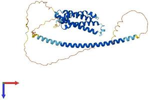 AlphaFold protein structure predicition of Human Recombinant FBXO28 Protein, UniprotID Q9NVF7
