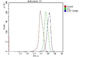 Flow Cytometry analysis of HepG2 cells using anti-Aspartate Aminotransferase/GOT1 antibody (ABIN7601883). (GOT1 anticorps  (AA 5-413))