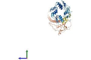 AlphaFold protein structure predicition of Human Recombinant ZNF714 Protein, UniprotID Q96N38