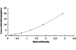 Typical standard curve (POT1 Kit ELISA)