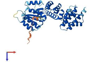 AlphaFold protein structure predicition of Mouse Recombinant Rfc5 Protein, UniprotID Q9D0F6