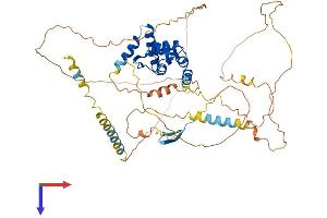 AlphaFold protein structure predicition of Human Recombinant ARID3B Protein, UniprotID Q8IVW6