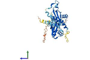 AlphaFold protein structure predicition of Human Recombinant SMARCB1 Protein, UniprotID Q12824