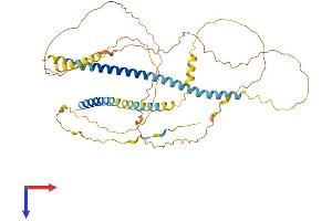 AlphaFold protein structure predicition of Mouse Recombinant Ivl Protein, UniprotID P48997
