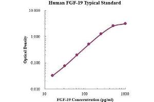 ELISA image for Fibroblast Growth Factor 19 (FGF19) ELISA Kit (ABIN3198530) (FGF19 Kit ELISA)