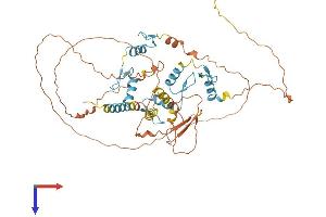 AlphaFold protein structure predicition of Human Recombinant ZNF692 Protein, UniprotID Q9BU19