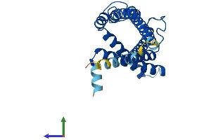 AlphaFold protein structure predicition of Human Recombinant PEX11G Protein, UniprotID Q96HA9