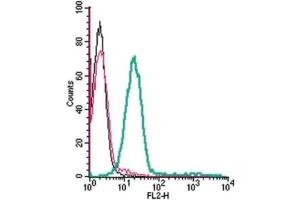 Cell surface detection of GPR65 in live intact human THP-1 monocytic leukemia cells: (black line) Cells.