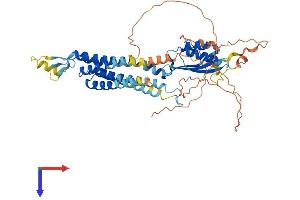 AlphaFold protein structure predicition of Human Recombinant SLC30A1 Protein, UniprotID Q9Y6M5