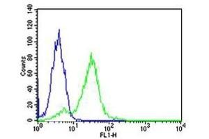 Flow cytometric analysis of HeLa cells using RPS6 antibody (green) and an isotype control of mouse IgG1 (blue); Ab was diluted at 1:25 dilution.