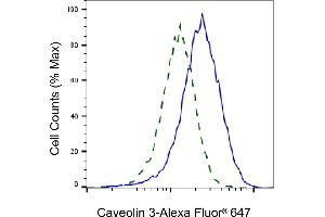 Validation of Caveolin 3 knockdown using flow cytometry. (Recombinant Caveolin 3 anticorps)