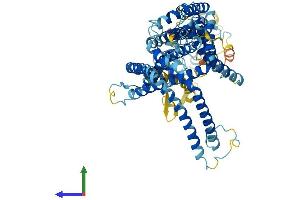 AlphaFold protein structure predicition of Mouse Recombinant Slc44a2 Protein, UniprotID Q8BY89