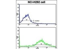 Flow cytometric analysis of NCI- cells using MLX Antibody (Center)(bottom histogram) compared to a negative control cell (top histogram).