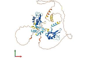 AlphaFold protein structure predicition of Human Recombinant CELF4 Protein, UniprotID Q9BZC1