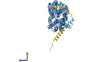 AlphaFold protein structure predicition of Mouse Recombinant Slc22a1 Protein, UniprotID O08966