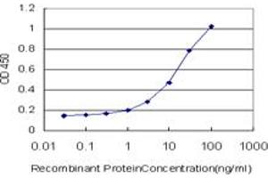 Detection limit for recombinant GST tagged OXSR1 is approximately 1ng/ml as a capture antibody. (OXSR1 anticorps  (AA 351-450))