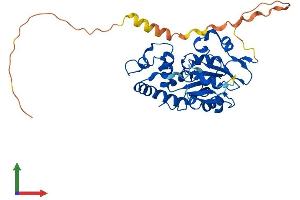 AlphaFold protein structure predicition of Mouse Recombinant Hs3st6 Protein, UniprotID Q5GFD5