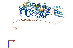 AlphaFold protein structure predicition of Human Recombinant GTPBP6 Protein, UniprotID O43824