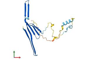 AlphaFold protein structure predicition of Human Recombinant TCAP Protein, UniprotID O15273