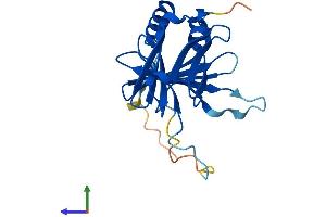 AlphaFold protein structure predicition of Human Recombinant DPCD Protein, UniprotID Q9BVM2