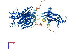 AlphaFold protein structure predicition of Mouse Recombinant Cpne7 Protein, UniprotID Q0VE82