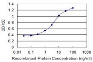 Detection limit for recombinant GST tagged ZSCAN18 is 0. (ZSCAN18 anticorps  (AA 1-510))