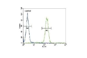 SCNN1A Antibody (Center) (ABIN652752 and ABIN2842496) flow cytometric analysis of WiDr cells (right histogram) compared to a negative control cell (left histogram).