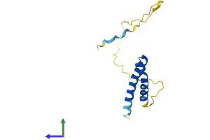 AlphaFold protein structure predicition of Mouse Recombinant Cdk2ap2 Protein, UniprotID Q9CPY4