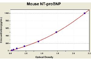 Diagramm of the ELISA kit to detect Mouse NT-proBNPwith the optical density on the x-axis and the concentration on the y-axis. (NT-ProBNP Kit ELISA)