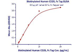 Immobilized Human B7-2, Fc Tag  with a linear range of 0.