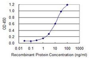 Detection limit for recombinant GST tagged MKRN1 is 0.
