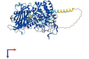 AlphaFold protein structure predicition of Mouse Recombinant Mogs Protein, UniprotID Q80UM7