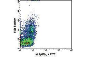 Flow Cytometry (FACS) image for anti-Integrin alpha M (ITGAM) antibody (FITC) (ABIN2661483) (CD11b anticorps  (FITC))