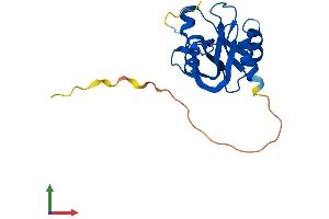 AlphaFold protein structure predicition of Mouse Recombinant Nudt4 Protein, UniprotID Q8R2U6