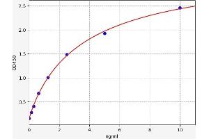 Growth Differentiation Factor 5 (GDF5) ELISA Kit