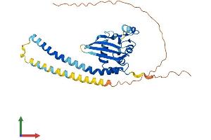 AlphaFold protein structure predicition of Human Recombinant TSPY2 Protein, UniprotID A6NKD2