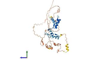 AlphaFold protein structure predicition of Human Recombinant YY2 Protein, UniprotID O15391