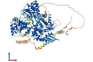 AlphaFold protein structure predicition of Human Recombinant DHX36 Protein, UniprotID Q9H2U1