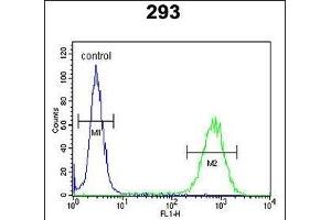 PCDH17 Antibody (C-term) (ABIN653792 and ABIN2843076) flow cytometric analysis of 293 cells (right histogram) compared to a negative control cell (left histogram). (PCDH17 anticorps  (C-Term))