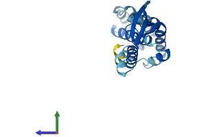 AlphaFold protein structure predicition of Human Recombinant COMMD2 Protein, UniprotID Q86X83