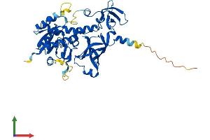 AlphaFold protein structure predicition of Mouse Recombinant Trmu Protein, UniprotID Q9DAT5