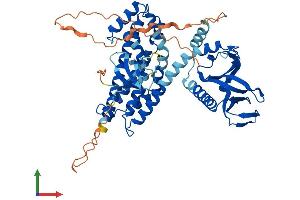 AlphaFold protein structure predicition of Human Recombinant ARHGEF9 Protein, UniprotID O43307