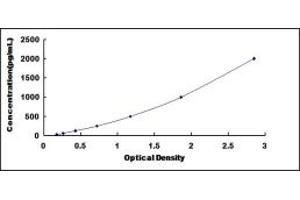 Transforming Growth Factor, beta 2 (TGFB2) ELISA Kit