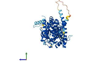 AlphaFold protein structure predicition of Mouse Recombinant Fto Protein, UniprotID Q8BGW1